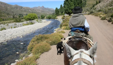 Paseos a caballo.