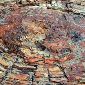 02-2-Bosque-petrificado-A