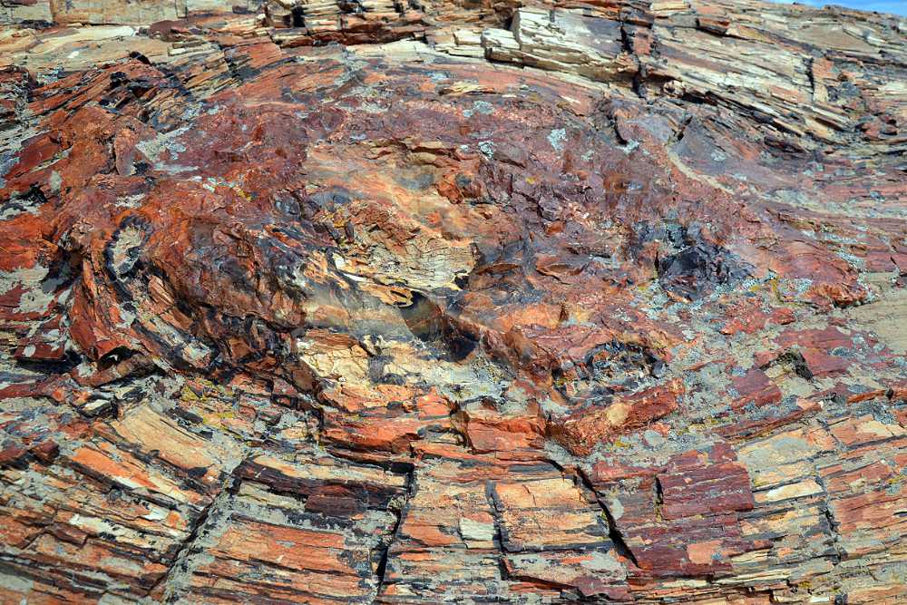 02-2-Bosque-petrificado-A