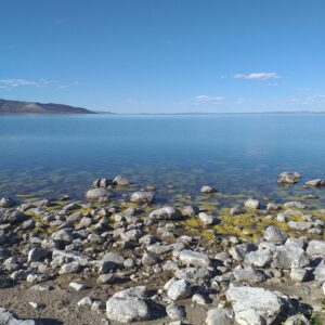 Lago Muster