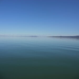 Lago Muster