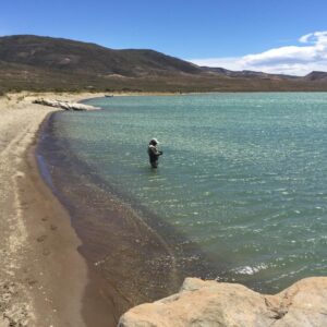 Lago Muster