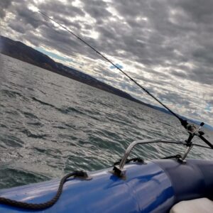 Lago Muster