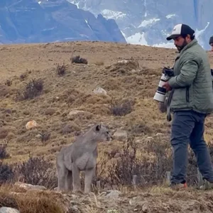 puma-approaches-group-torres-del-paine