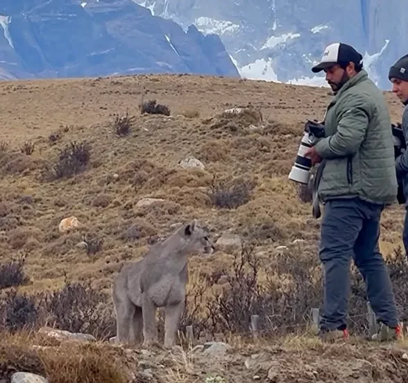 puma-approaches-group-torres-del-paine