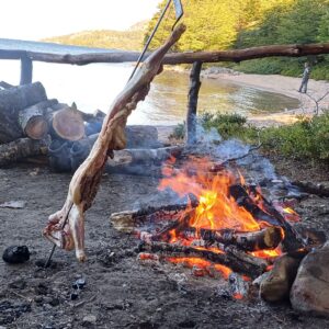 campamento vintter (1)