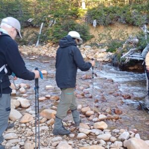 campamento vintter (10)