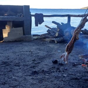 campamento vintter (2)