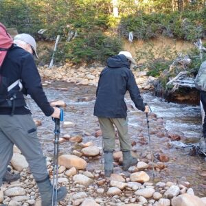 campamento vintter (9)